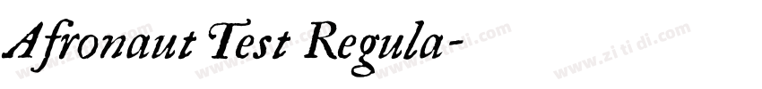 Afronaut Test Regula字体转换